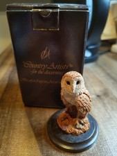 Small barn owl for sale  NOTTINGHAM