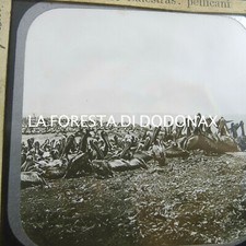 Lanterna magica 1890 usato  Cremona