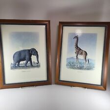 Animals africa frederic for sale  Dunnellon