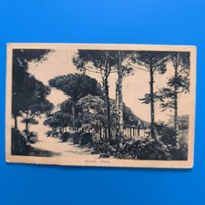 Ischia pineta viaggiata usato Ischia pineta viaggiata usato  Bari