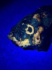 Wurzit selten polen gebraucht kaufen  Ingolstadt