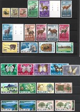 Malawi lot tiere gebraucht kaufen Malawi lot tiere gebraucht kaufen  Hessisch Lichtenau