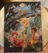 Libro disney trilly usato  Trevenzuolo