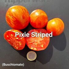 Tomatensamen pixie striped gebraucht kaufen  Röthlein