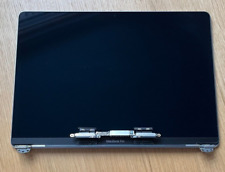 Usado, Macbook Pro 13 A1989 A2159 A2251 A2289 2020 conjunto de tela LCD CINZA 661-12829 comprar usado  Enviando para Brazil