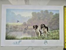 Water sports springer for sale  RUSHDEN
