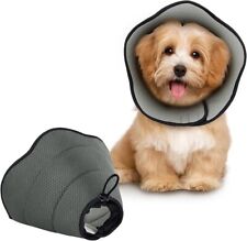 Bonthee soft dog for sale  BRISTOL