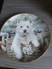 Danbury mint dog for sale  ALFRETON