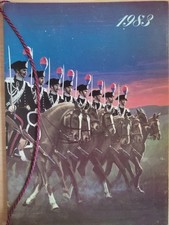 Calendario carabinieri 1983 usato  Torre del Greco