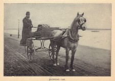 Jaunting car. ireland for sale  LONDON