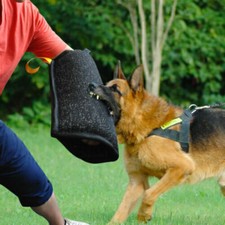 Beißschutz junge hunde gebraucht kaufen  Versand nach Germany