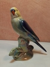 Campsie ware.luster. budgeriga for sale  LANARK