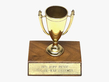 1971 Rupp Industries Picnic Trophy - Mini Bicicleta Snowmobile Go Cart Roadster Nitro comprar usado  Enviando para Brazil