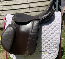 Brown working hunter for sale  PAR