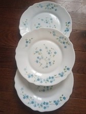 Assiettes dessert arcopal d'occasion  Noyal-sur-Vilaine