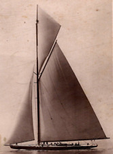Shamrock yacht 1920 for sale  Winterville