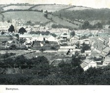 Bampton birds eye for sale  BIRMINGHAM