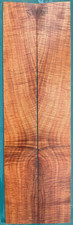 Hawaiian full curl for sale  Volcano