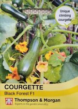 Climbing courgette seeds for sale  LONDON