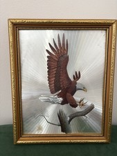 American bald eagle for sale  LIVERPOOL