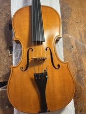 Viola usato  Cremona