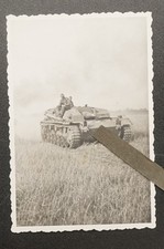 Foto wk2 sturmgeschütz gebraucht kaufen  Neubrandenburg-Umland
