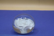 Paperweight briefbeschwerer tr gebraucht kaufen  Fürstenfeldbruck
