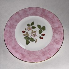 Rare wedgwood wild for sale  Arcanum