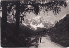 Forni avoltri udine usato Forni avoltri udine usato  Italia