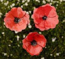 Metal poppies garden for sale  CHELTENHAM