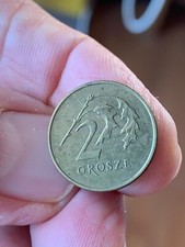 Moneta polonia grosze usato Moneta polonia grosze usato  Gorgonzola