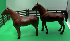 Sungold bay horses for sale  Newark
