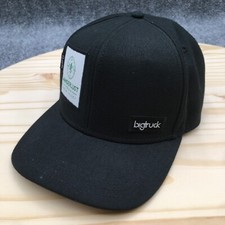 Wanderlust bigtruck snapback for sale  Circle Pines