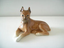 Goebel boxer dog for sale  BRISTOL