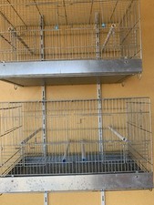 uccelli gabbie usato uccelli gabbie usato Catania