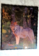 Vintage wolf woods for sale  Stuarts Draft