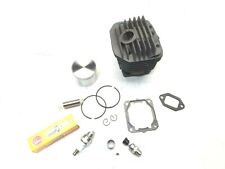 Nikasil cylinder piston for sale  Holden
