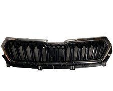 Riginal škoda kühlergrill gebraucht kaufen Riginal škoda kühlergrill gebraucht kaufen  Kreuzau