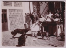 émile zola photographie d'occasion  Paris X