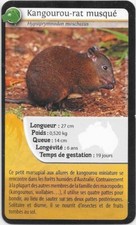 fourrure rat musque d'occasion  Expédié en Belgium