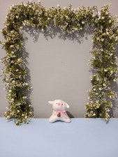 Cute little sheep for sale  DONCASTER