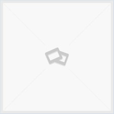 Viappiani antonio trattato usato Viappiani antonio trattato usato  Italia