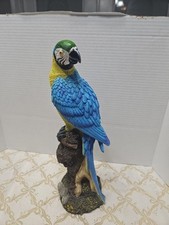Large blue macaw for sale  High Springs