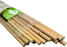 Natural bamboo stakes for sale  Knoxville