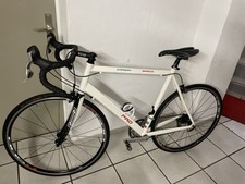 Rennrad carbon pro gebraucht kaufen  Halle