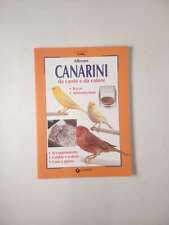Allevare canarini canto usato  Fabriano