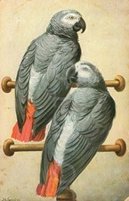 Vintage postcard 1924 for sale  UK