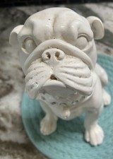 english terrier pups bull for sale english terrier pups bull for sale Rochester