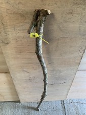 Birch twisty twistie for sale  SOUTH MOLTON