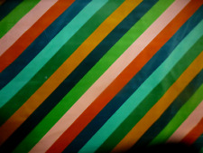 harlequin twinkle toes for sale harlequin twinkle toes for sale DURHAM